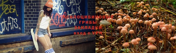 соль курить ск Абаза