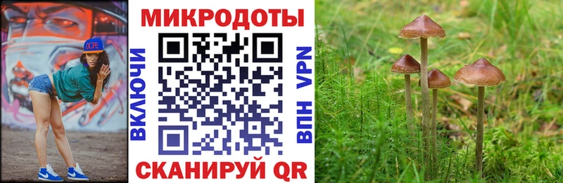 это клад  kraken как войти  Нюрба  что такое   Галлюциногенные грибы прущие грибы 